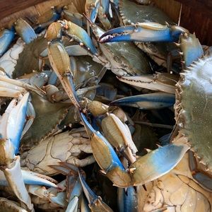 Meet your Posher, Mariana